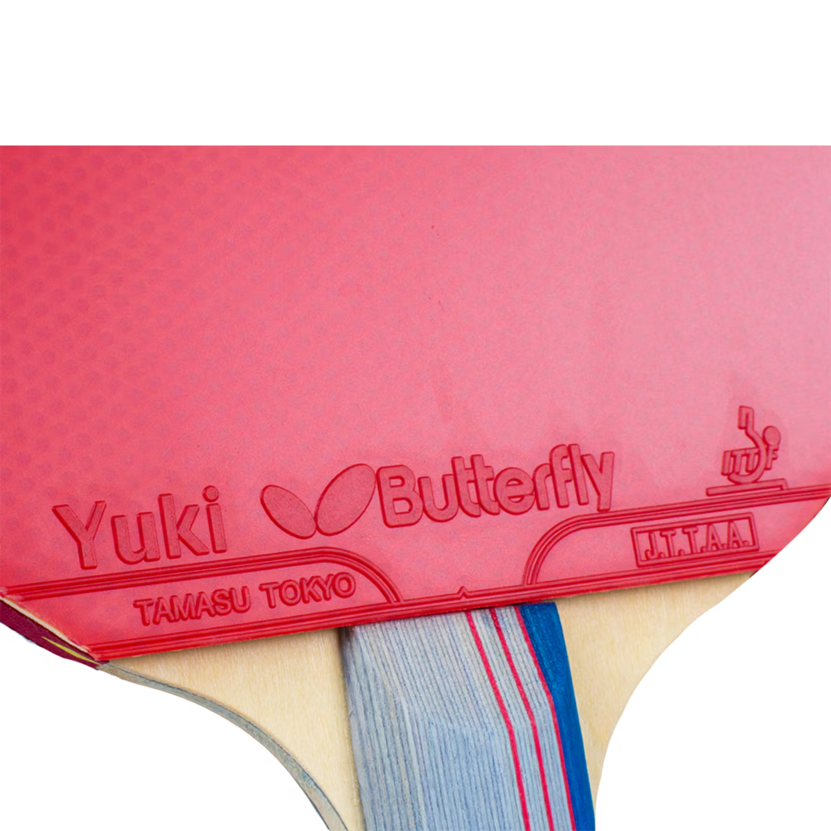 MLTT Paddle
