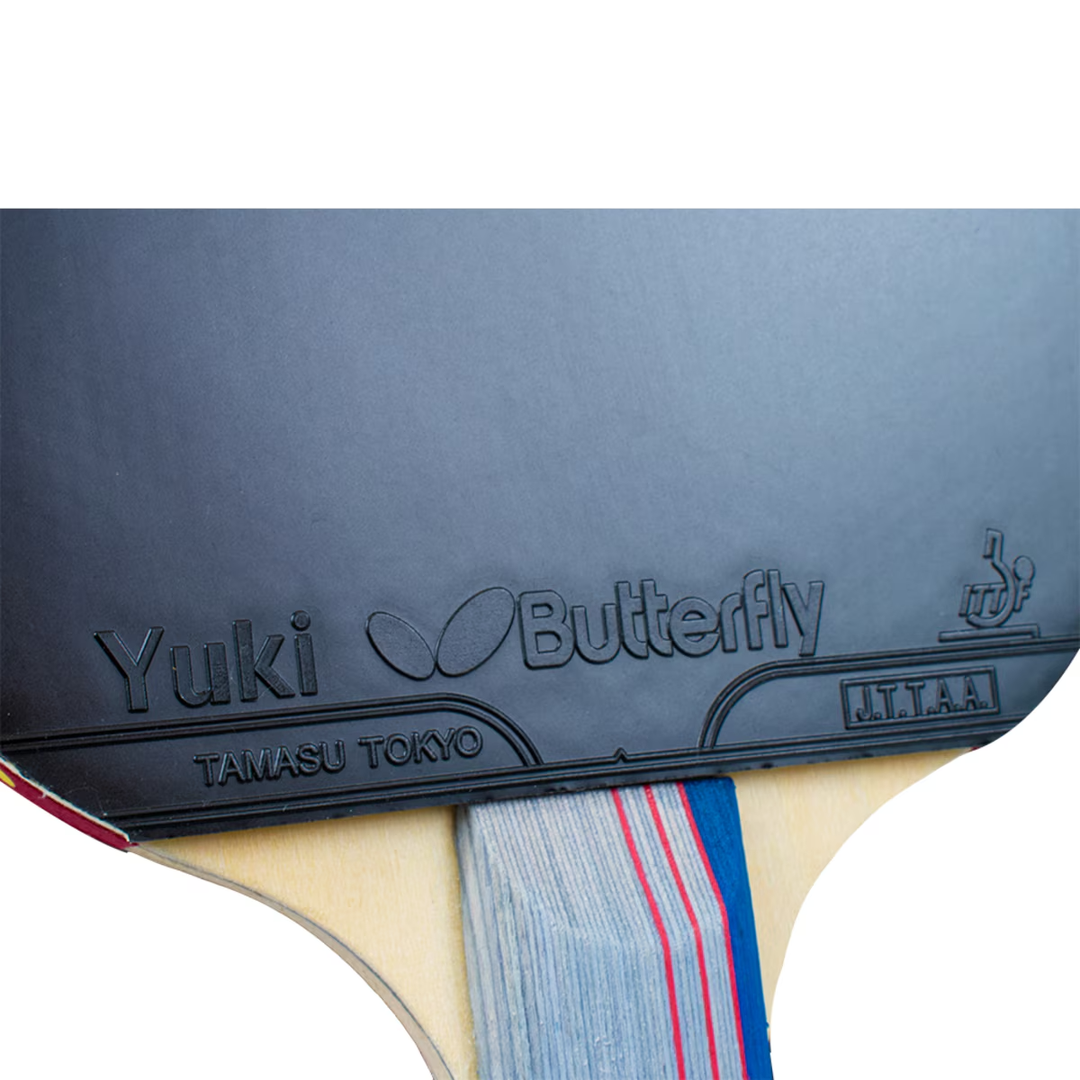 MLTT Paddle