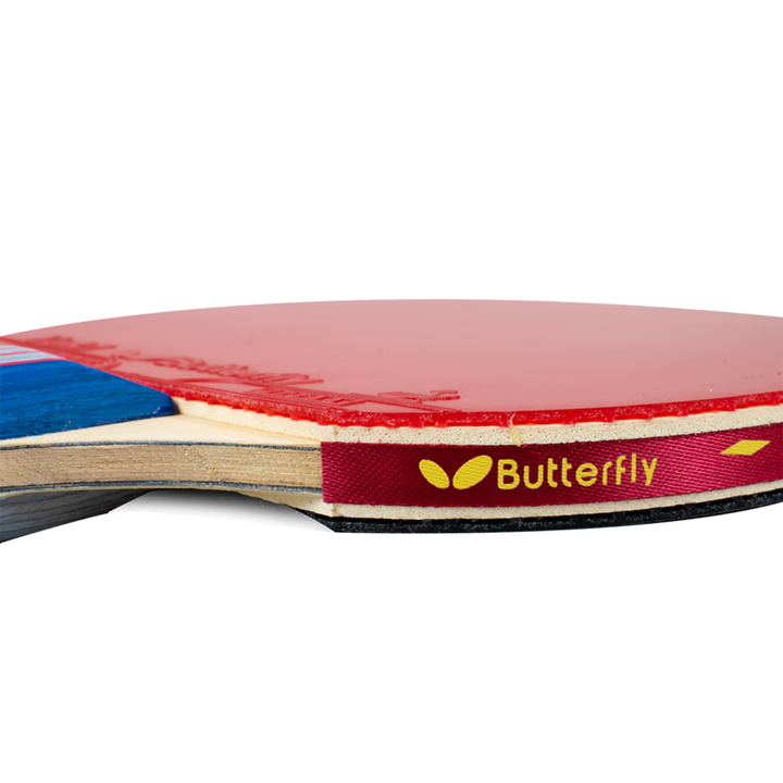 MLTT Paddle