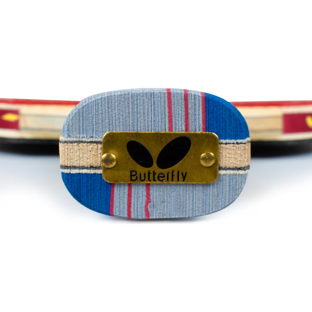 MLTT Paddle